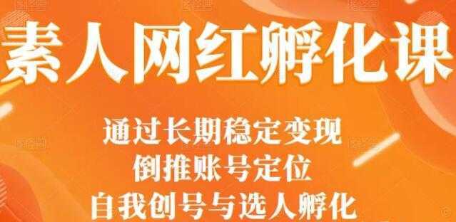 马大个《素人网红孵化课》通过长期稳定变现，自我创号与选人孵化财创网络学堂-引流教程-网赚教程-副业教程-引流技术-副业-网络赚钱项目课程网
