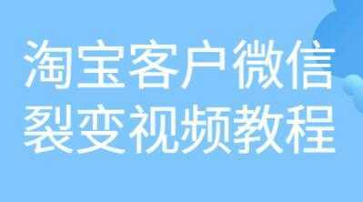 《淘宝客户微信裂变》培训课程视频教程财创网络学堂-引流教程-网赚教程-副业教程-引流技术-副业-网络赚钱项目课程网