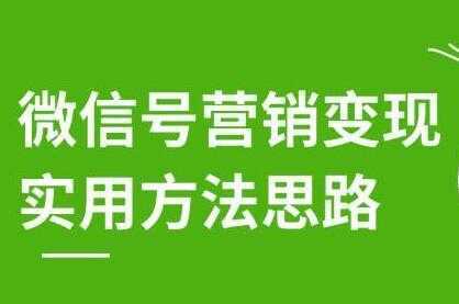 徐悦佳《微信号营销变现实用方法思路》朋友圈刷屏裂变方法财创网络学堂-引流教程-网赚教程-副业教程-引流技术-副业-网络赚钱项目课程网