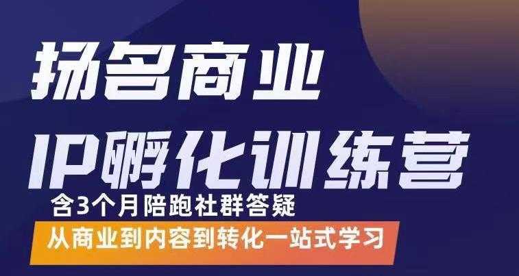 杨名商业IP孵化训练营，从商业到内容到转化一站式学 价值5980元财创网络学堂-引流教程-网赚教程-副业教程-引流技术-副业-网络赚钱项目课程网