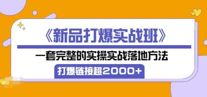 凌童《新品打爆实战班》,一套完整的实操实战落地方法，打爆链接超2000+（28节课)财创网络学堂-引流教程-网赚教程-副业教程-引流技术-副业-网络赚钱项目课程网