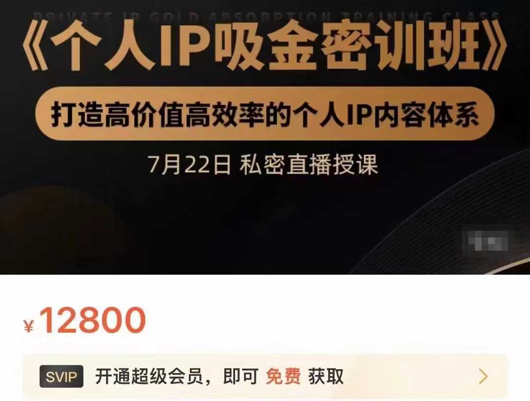 个人IP吸金密训班，打造高价值高效率的个人IP内容体系（价值12800元）财创网络学堂-引流教程-网赚教程-副业教程-引流技术-副业-网络赚钱项目课程网