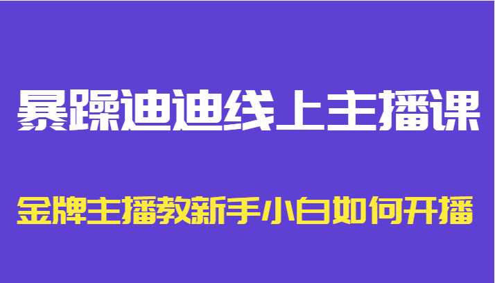 暴躁迪迪线上主播课，金牌主播教新手小白如何开播财创网络学堂-引流教程-网赚教程-副业教程-引流技术-副业-网络赚钱项目课程网