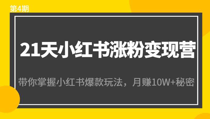 21天小红书涨粉变现营（第4期）：带你掌握小红书爆款玩法，月赚10W+秘密财创网络学堂-引流教程-网赚教程-副业教程-引流技术-副业-网络赚钱项目课程网