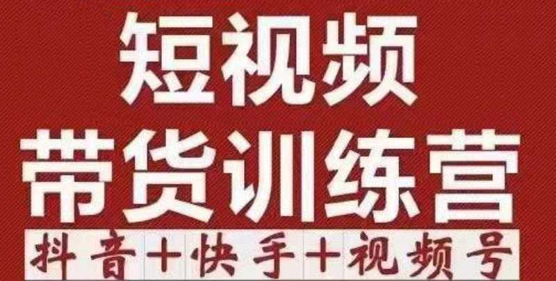 短视频带货特训营（第12期）抖音+快手+视频号：收益巨大，简单粗暴！财创网络学堂-引流教程-网赚教程-副业教程-引流技术-副业-网络赚钱项目课程网