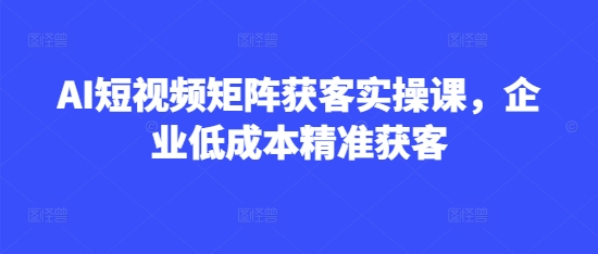 AI短视频矩阵获客实操课，企业低成本精准获客-课程网