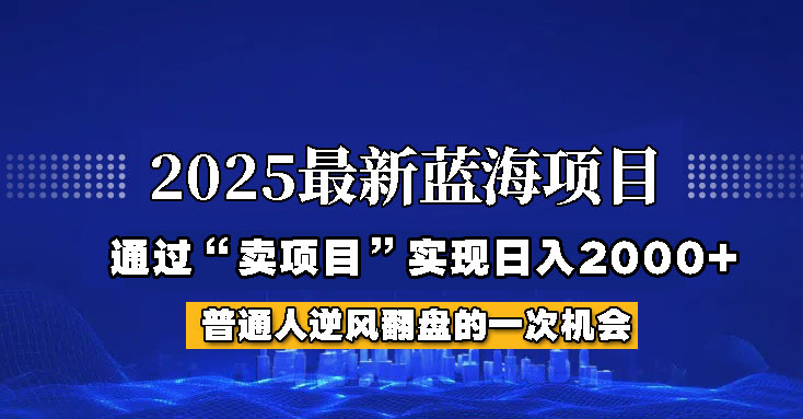 2025年蓝海项目，如何通过“网创项目”日入2000+-课程网