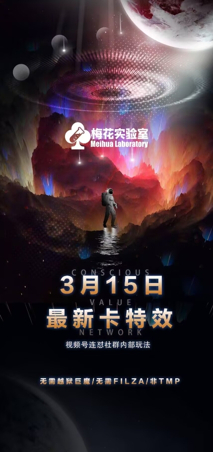 梅花实验室视频号连怼玩法-3月15日最新卡特效技术(无需越狱、巨魔、tmp)-课程网