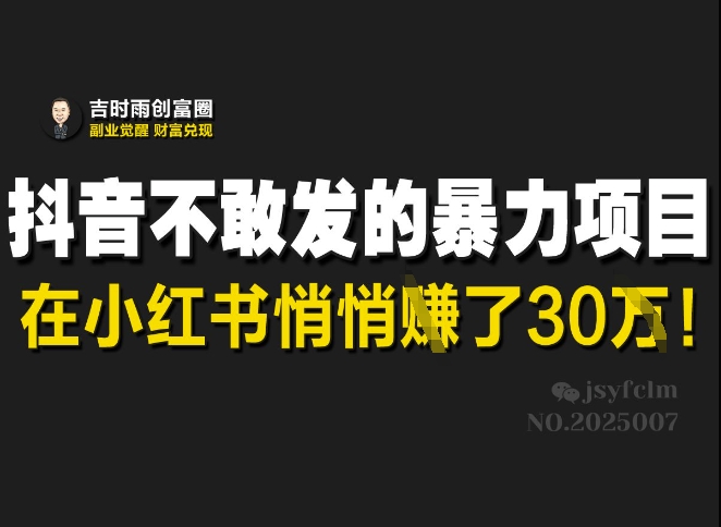 抖音不敢发的暴利项目，在小红书悄悄挣了30W-课程网