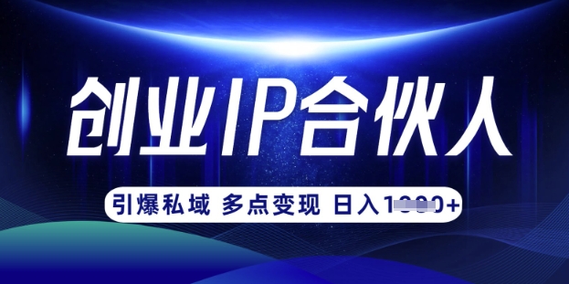 云帆·创业ip合伙人打造3.0，从0到1教你做网创，实现月入过W-课程网