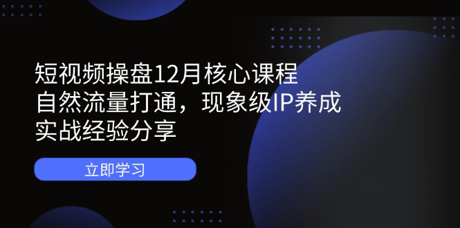 短视频操盘12月核心课程：自然流量打通，现象级IP养成，实战经验分享-课程网