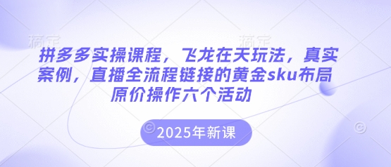 拼多多实操课程，飞龙在天玩法，真实案例，直播全流程链接的黄金sku布局原价操作六个活动-课程网