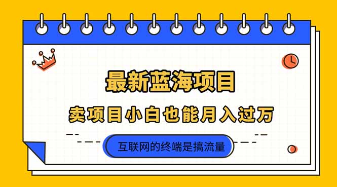 2025年最新蓝海项目，卖项目小白也能月入过万-课程网