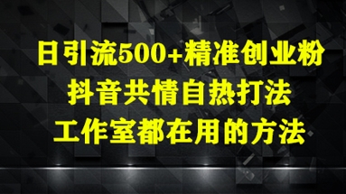日引流500+精准创业粉，抖音共情自热打法，工作室都在用的方法-课程网