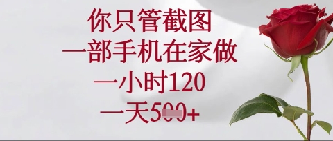 你只管截图，一部手机在家操作，一小时120.一天5张【揭秘】财创网络学堂-引流教程-网赚教程-副业教程-引流技术-副业-网络赚钱项目课程网