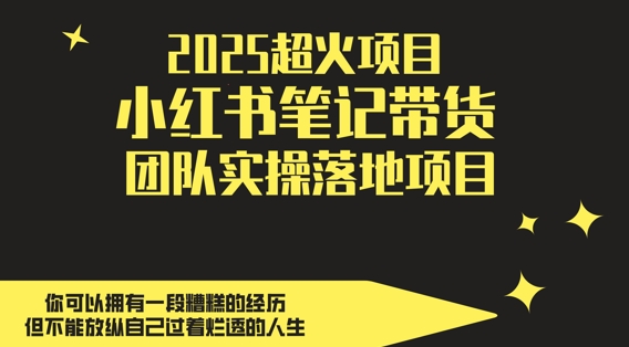 2025超火项目，副业最佳选择，小红书笔记带货团队实操落地项目，，轻松日入5张财创网络学堂-引流教程-网赚教程-副业教程-引流技术-副业-网络赚钱项目课程网
