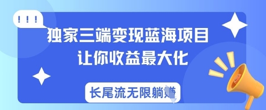 独家三端变现蓝海项目，让你收益最大化，长尾流无限躺挣-课程网
