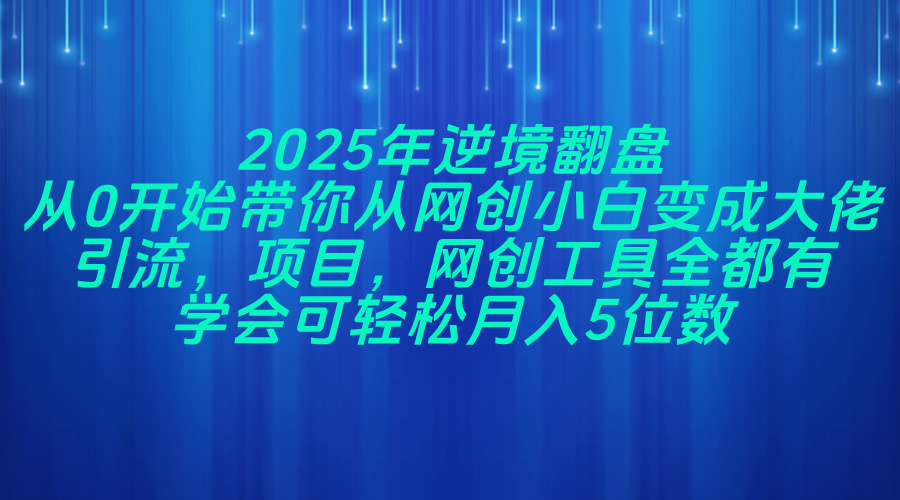 2025年逆境翻盘，从0开始带你从网创小白变成大佬，引流，项目，网创工…-课程网