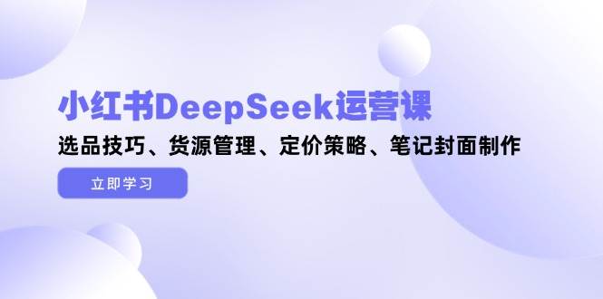 小红书DeepSeek运营课，选品技巧、货源管理、定价策略、笔记封面制作财创网络学堂-引流教程-网赚教程-副业教程-引流技术-副业-网络赚钱项目课程网