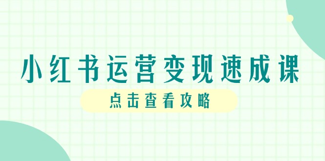小红书运营变现速成课，账号搭建到暴力起号，个人IP全流程指南财创网络学堂-引流教程-网赚教程-副业教程-引流技术-副业-网络赚钱项目课程网