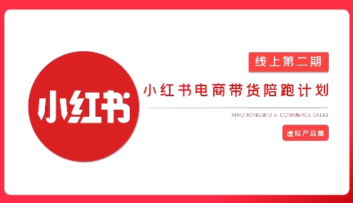 2025小红书虚拟电商实战课，从0到1打造无货源店铺，AI+爆款笔记轻松变现财创网络学堂-引流教程-网赚教程-副业教程-引流技术-副业-网络赚钱项目课程网