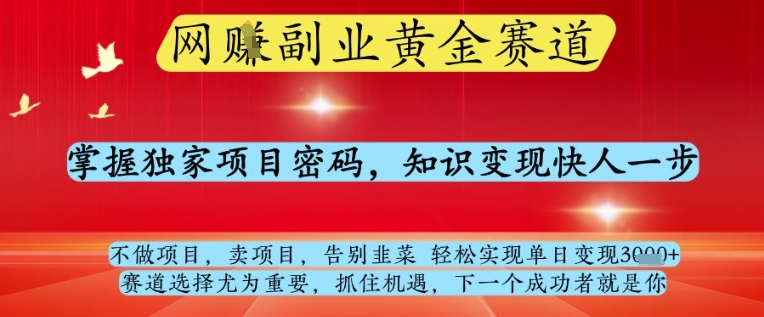 网创副业黄全赛道，掌握独家项目密码，知识变现快人一步，告别韭菜轻松实现单日变现1k+【揭秘】-课程网