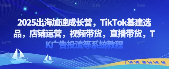 2025出海加速成长营，TikTok基建选品，店铺运营，视频带货，直播带货，TK广告投流等系统教程-课程网