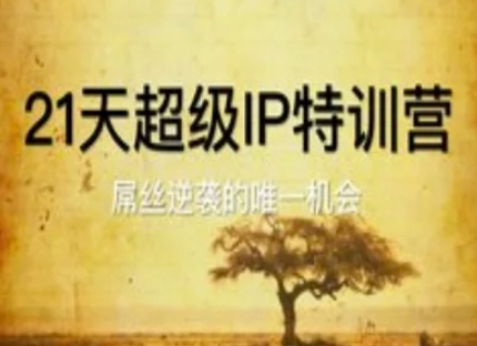 21天超级IP特训营，屌丝逆袭的唯一机会财创网络学堂-引流教程-网赚教程-副业教程-引流技术-副业-网络赚钱项目课程网