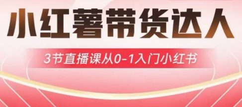 小红薯达人带货启航计划，3节直播课从0-1入门小红书财创网络学堂-引流教程-网赚教程-副业教程-引流技术-副业-网络赚钱项目课程网