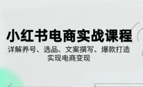 小红书从0-1实操课(2023-2025)，详解养号、选品、文案撰写、爆款打造实现电商变现-课程网