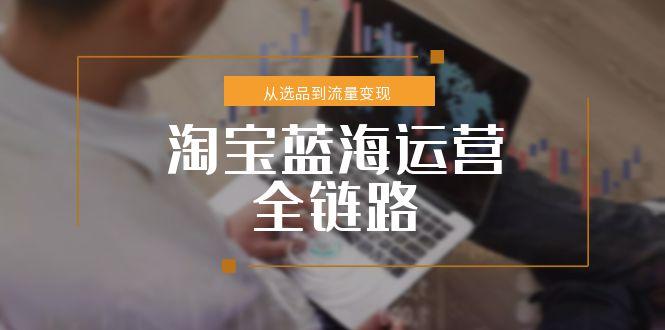 淘宝蓝海运营全链路，从选品到流量变现，小类目突围完整方案财创网络学堂-引流教程-网赚教程-副业教程-引流技术-副业-网络赚钱项目课程网