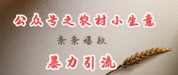 deepseek写农村小项目，条条爆款，暴力引流-课程网
