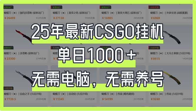 25年最新CSGO挂机系统，单日1000+，无需电脑，无需养号，0基础可上手-课程网