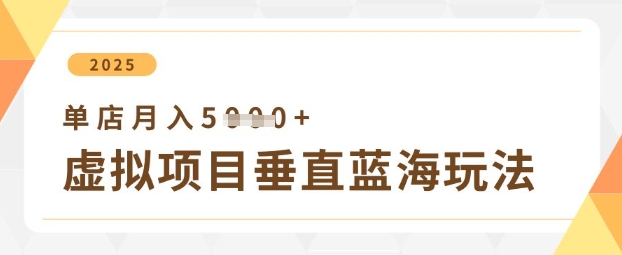 虚拟项目垂直玩法，实现单店月入5k+-课程网