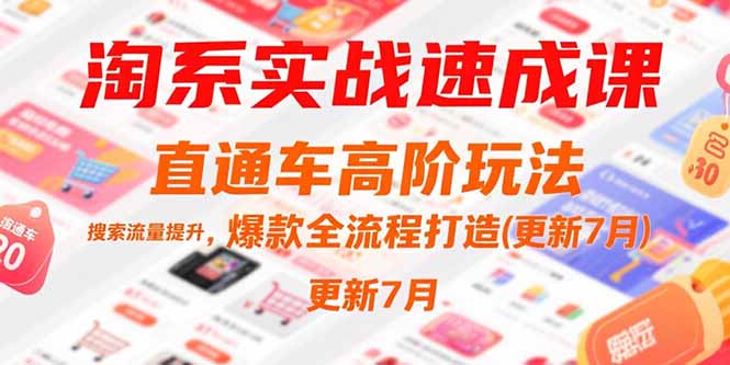 淘系实战速成课，直通车高阶玩法，搜索流量提升，爆款全流程打造(更新7月财创网络学堂-引流教程-网赚教程-副业教程-引流技术-副业-网络赚钱项目课程网