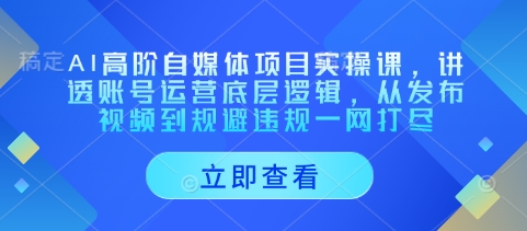 AI高阶自媒体项目实操课，讲透账号运营底层逻辑，从发布视频到规避违规一网打尽-课程网