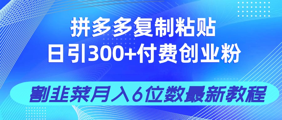 拼多多复制粘贴日引300+付费创业粉，割韭菜月入6位数最新教程！-课程网