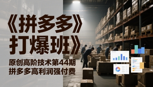 《拼多多打爆班》原创高阶技术第44期，拼多多高利润强付费财创网络学堂-引流教程-网赚教程-副业教程-引流技术-副业-网络赚钱项目课程网