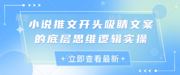 小说推文开头吸睛文案的底层思维逻辑实操-课程网