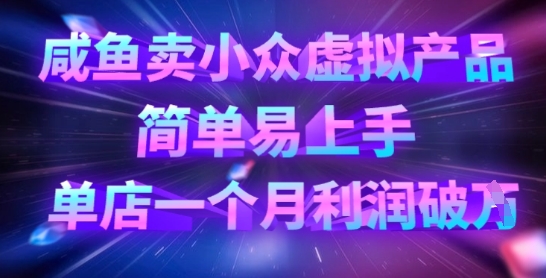 咸鱼卖小众虚拟产品，简单易上手，单店一个月利润破W-课程网