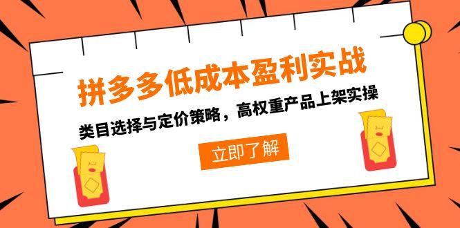 拼多多低成本盈利实战，类目选择与定价策略，高权重产品上架实操财创网络学堂-引流教程-网赚教程-副业教程-引流技术-副业-网络赚钱项目课程网