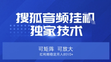 【搜狐音频挂G】独家技术，可矩阵可放大，红利期稳定月入8k【揭秘】-课程网