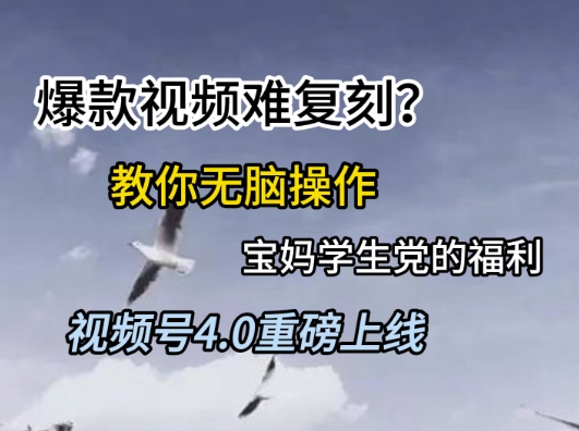 视频号4.0重磅上线，爆款视频难复刻？教你无脑操作宝妈学生党的福利【揭秘】财创网络学堂-引流教程-网赚教程-副业教程-引流技术-副业-网络赚钱项目课程网
