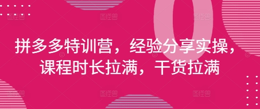 拼多多特训营，经验分享实操，课程时长拉满，干货拉满(更新25年4月)-课程网