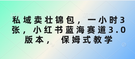 私域卖壮锦包，一小时3张，小红书蓝海赛道3.0版本， 保姆式教学-课程网