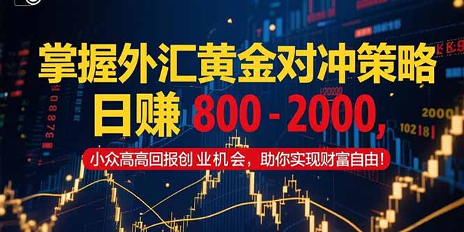 掌握外汇黄金对冲策略，日赚 800 – 2000，小众高回报创业机会，助你实…财创网络学堂-引流教程-网赚教程-副业教程-引流技术-副业-网络赚钱项目课程网