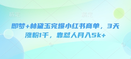 即梦+林黛玉完爆小红书商单，3天涨粉1千，靠怼人月入5k+财创网络学堂-引流教程-网赚教程-副业教程-引流技术-副业-网络赚钱项目课程网