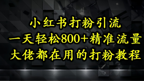 小红书打粉引流，一天轻松500+精准流量，大佬都在用的打粉教程财创网络学堂-引流教程-网赚教程-副业教程-引流技术-副业-网络赚钱项目课程网