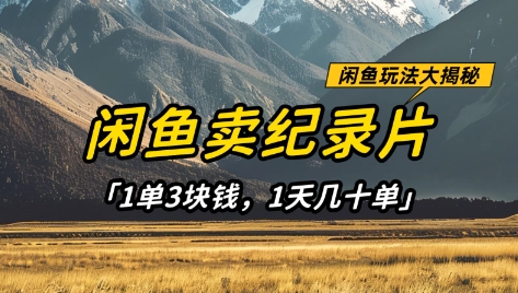 闲鱼卖纪录片1单3块钱，1天几十单，项目稳定有潜力-课程网
