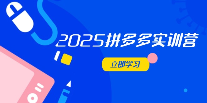 2025拼多多实训营：深度剖析运营关键，助力电商人快速提升财创网络学堂-引流教程-网赚教程-副业教程-引流技术-副业-网络赚钱项目课程网